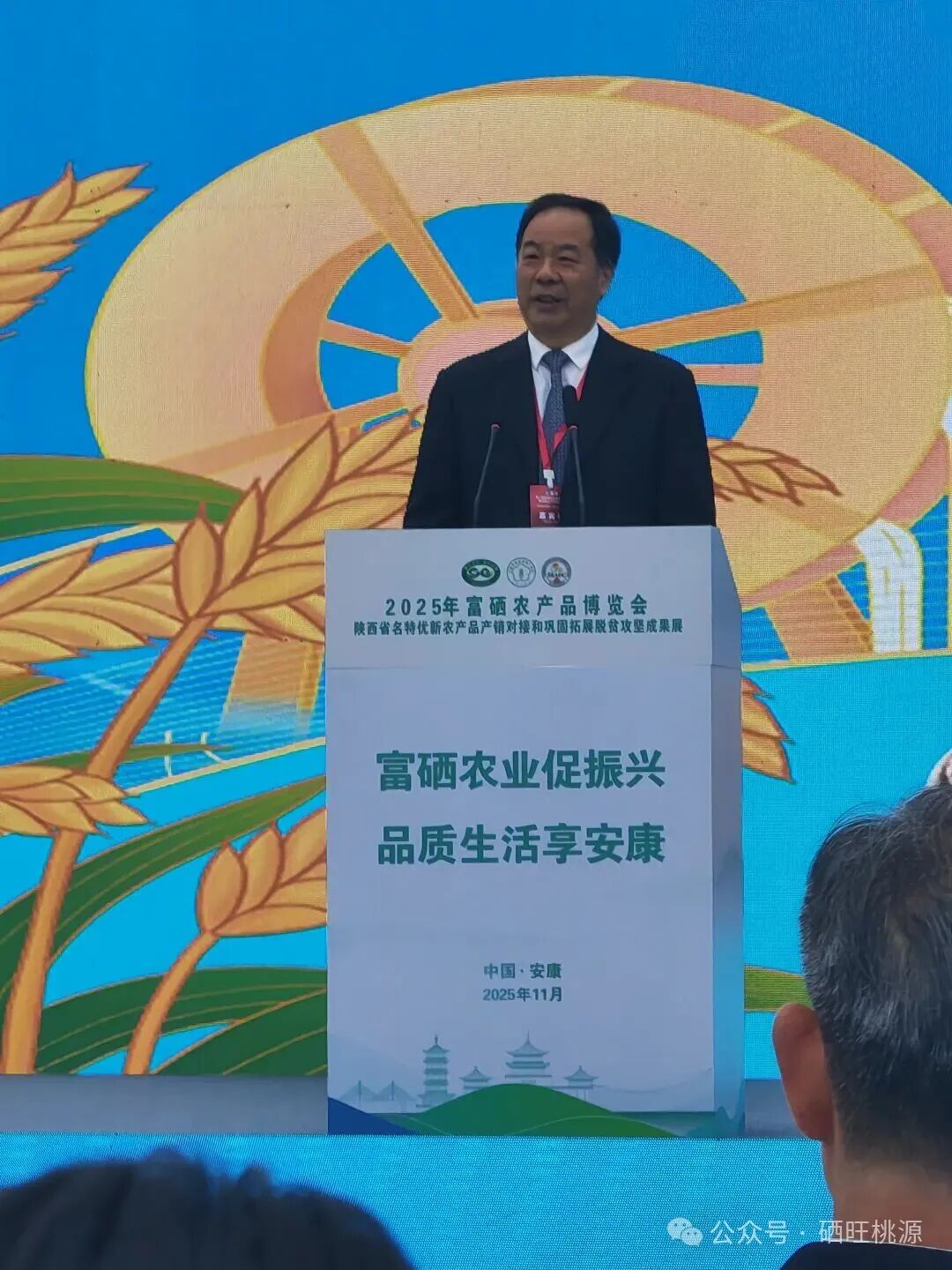 第八屆富硒農(nóng)業(yè)發(fā)展大會在陜西安康舉辦，桃源縣參展成果豐碩