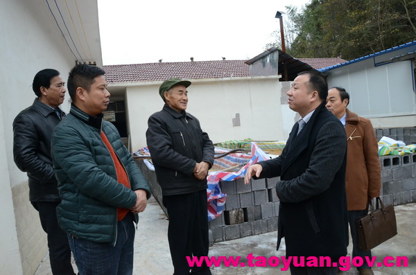 省富硒產業(yè)協會執(zhí)行會長楊俊來桃調研